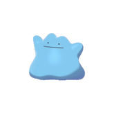 Buy Shiny 6IV Ditto